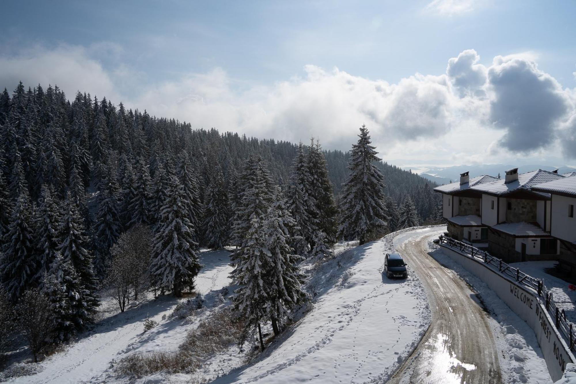 Апартамент Дени Pamporovo Dış mekan fotoğraf